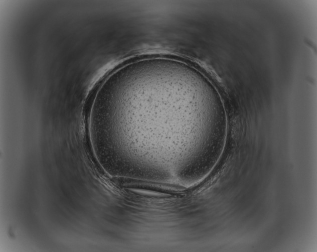 X0000096731167200802121307
