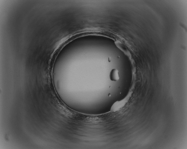 X0000096731168200802121307