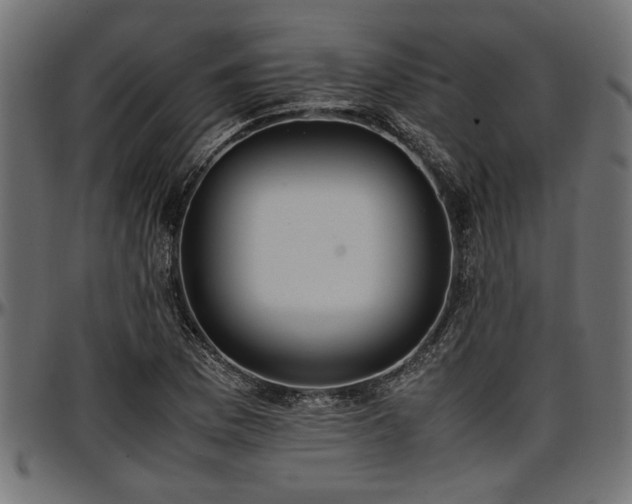 X0000096731169200802121307