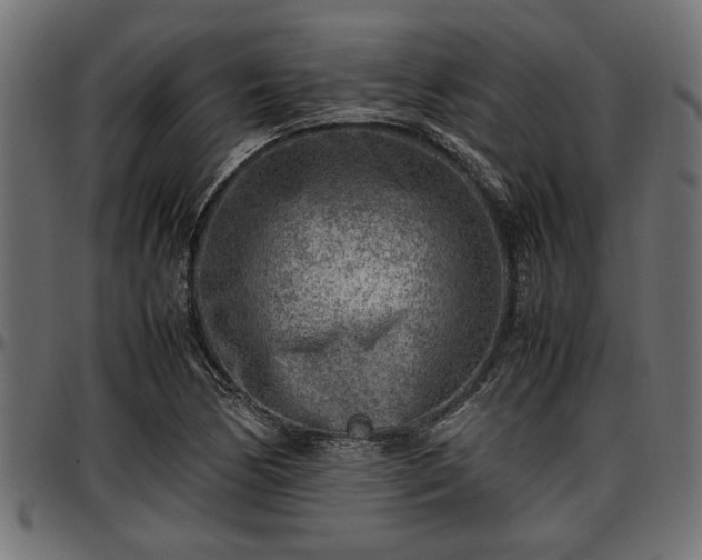 X0000096731170200802121307