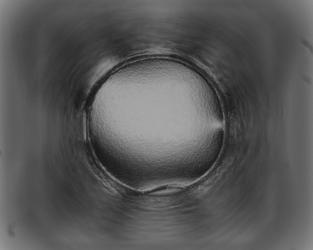 X0000096731171200802121307