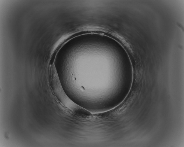 X0000096731175200802121307