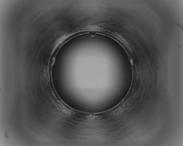 X0000096731176200802121307