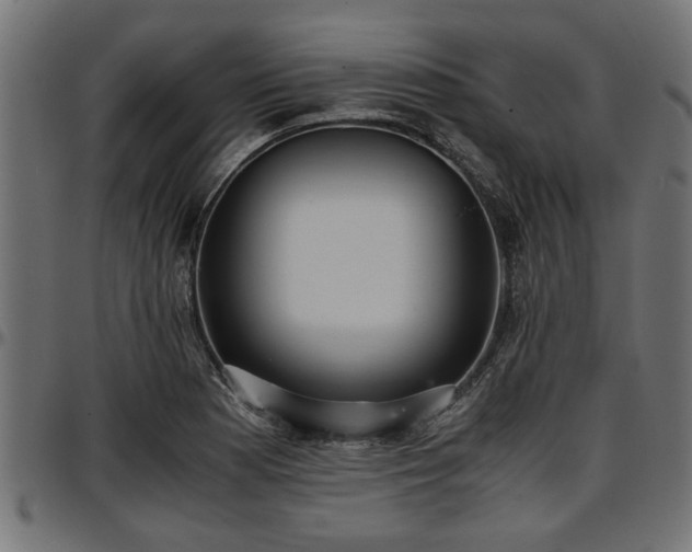 X0000096731177200802121307