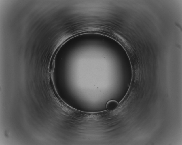 X0000096731178200802121307