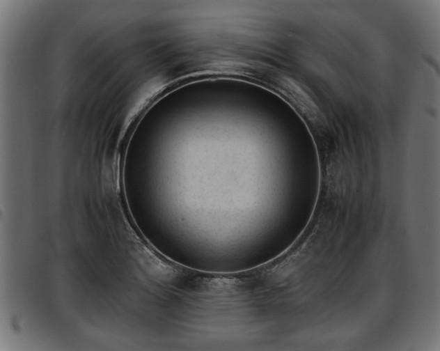 X0000096731180200802121307