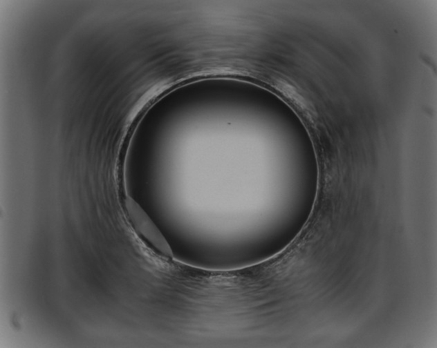 X0000096731181200802121307
