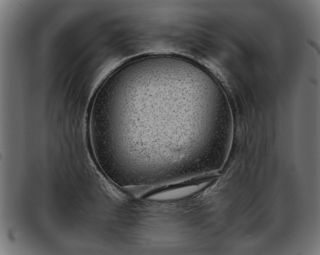 X0000096731183200802121307