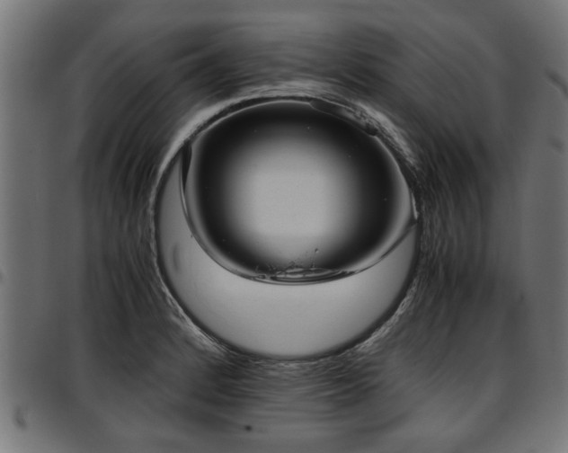 X0000096731184200802121307