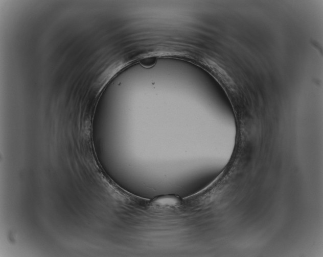 X0000096731185200802121307
