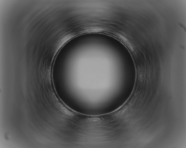 X0000096731186200802121307
