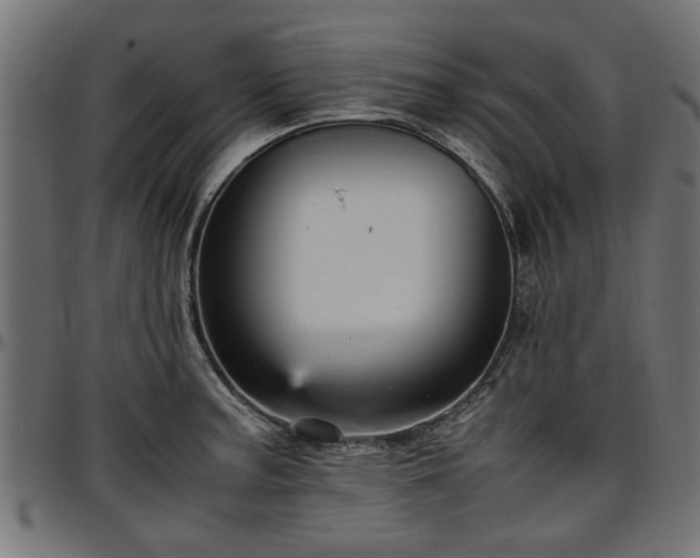 X0000096731187200802121307
