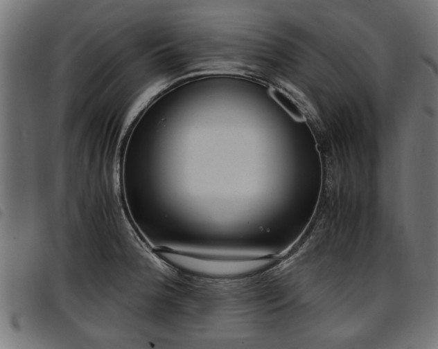 X0000096731188200802121307