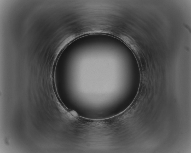 X0000096731189200802121307