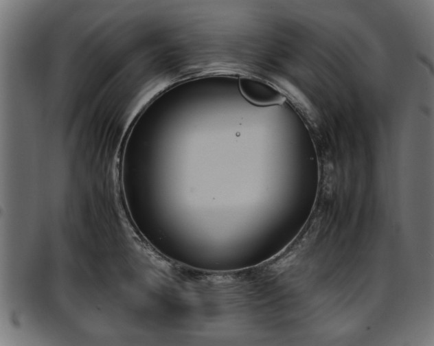 X0000096731190200802121307