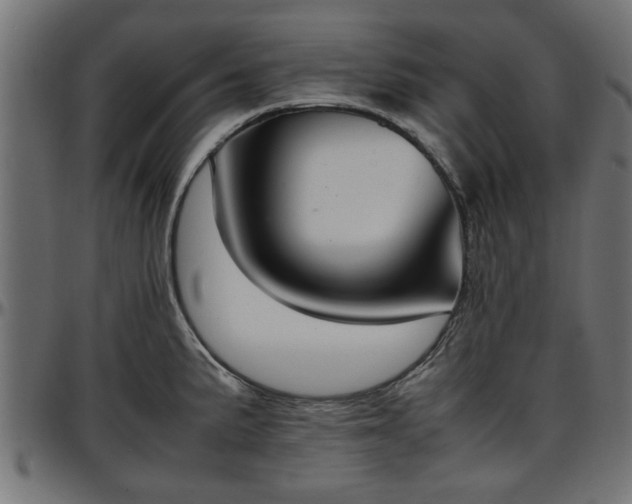 X0000096731191200802121307