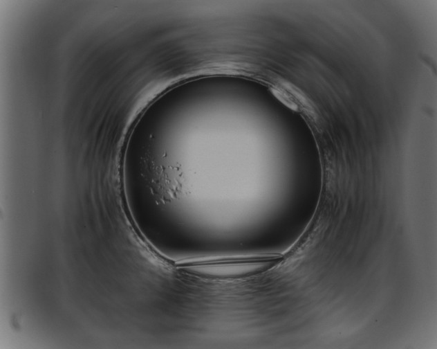 X0000096731192200802121307