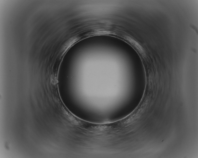 X0000096731193200802121307