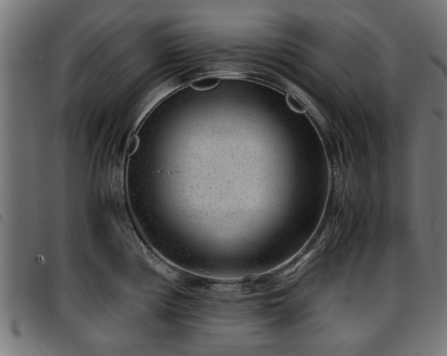 X0000096731194200802121307