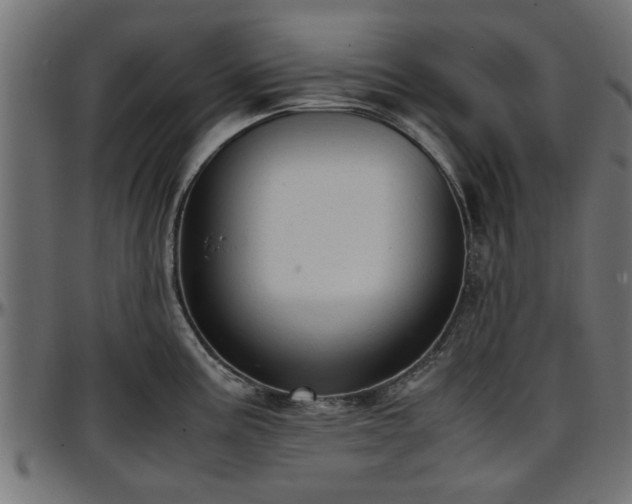 X0000096731195200802121307