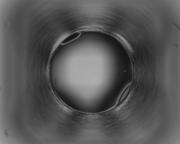 X0000096731196200802121307