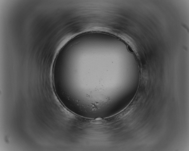 X0000096731199200802121307