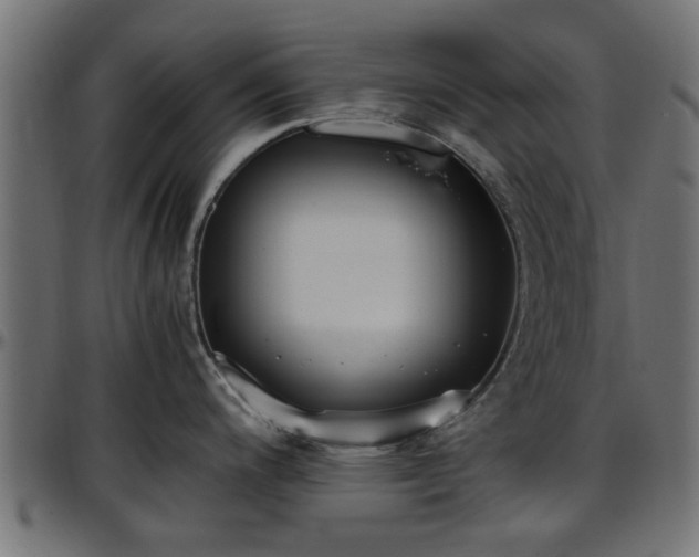 X0000096731200200802121307