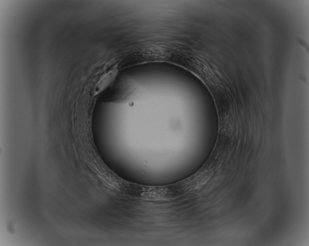 X0000096731201200802121306