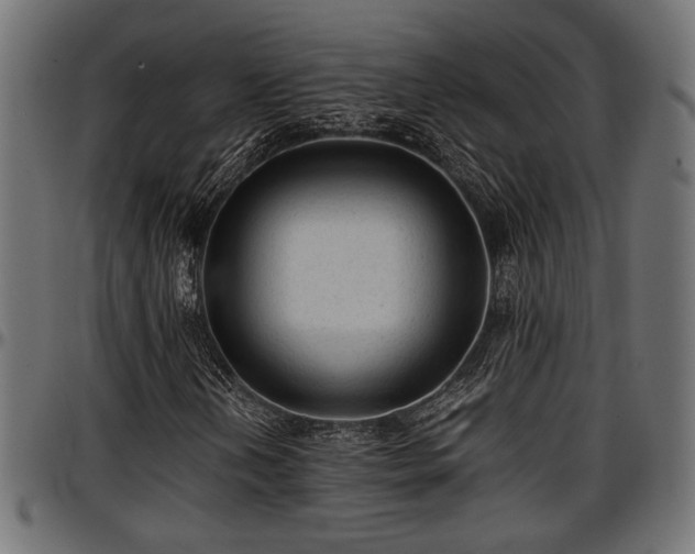 X0000096731202200802121306