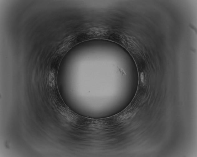 X0000096731203200802121306