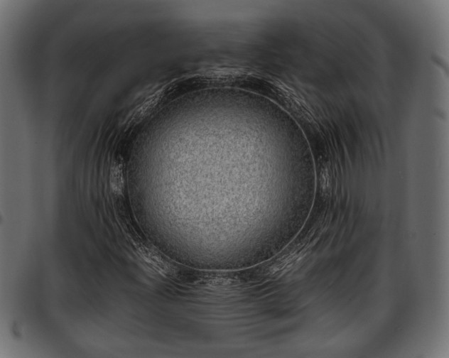 X0000096731204200802121306