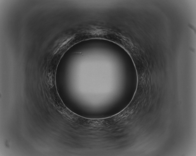 X0000096731205200802121306