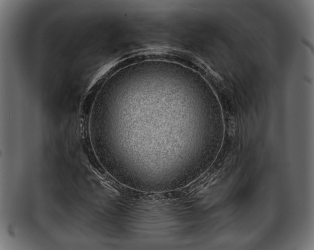 X0000096731208200802121306