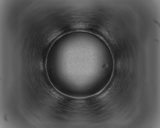 X0000096731209200802121306