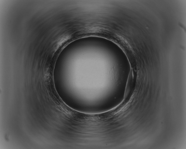 X0000096731210200802121306