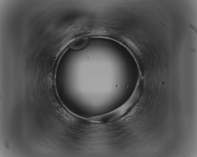 X0000096731212200802121306