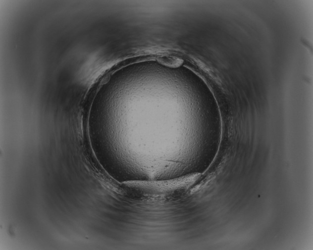X0000096731214200802121306