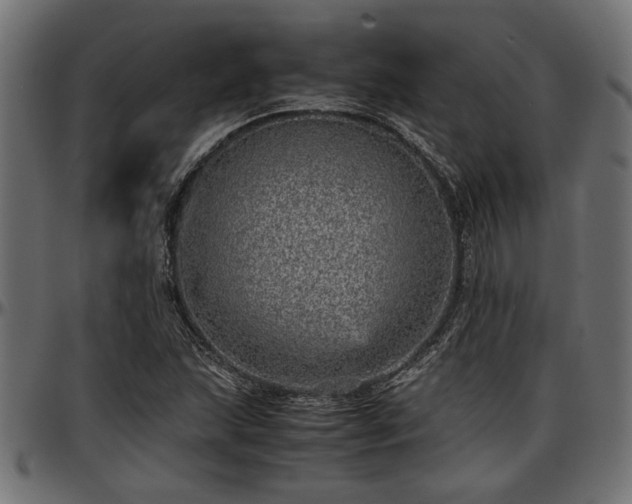 X0000096731215200802121306