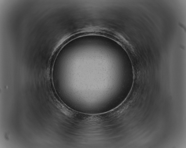 X0000096731216200802121306