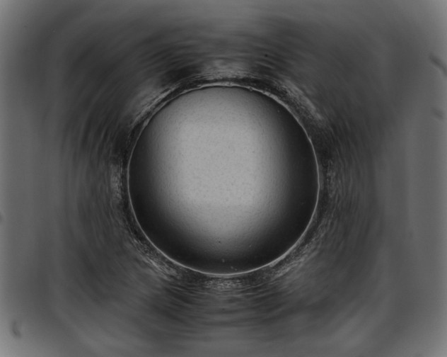 X0000096731217200802121306