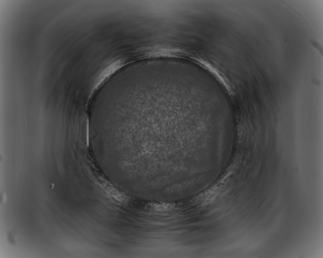 X0000096731219200802121306