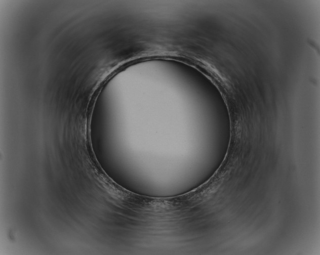X0000096731220200802121306