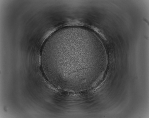 X0000096731221200802121306