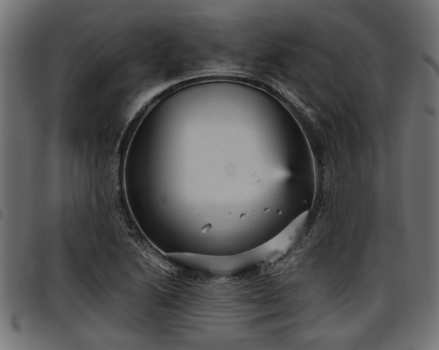 X0000096731222200802121306