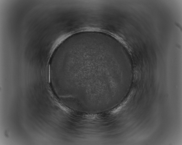 X0000096731223200802121306