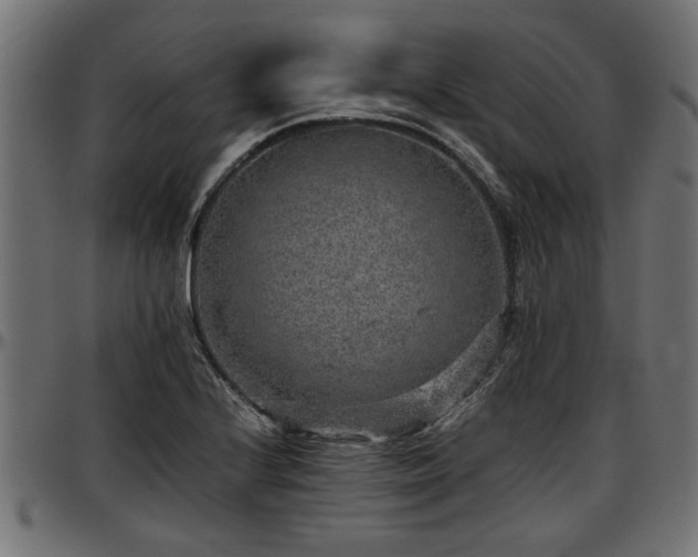 X0000096731224200802121306