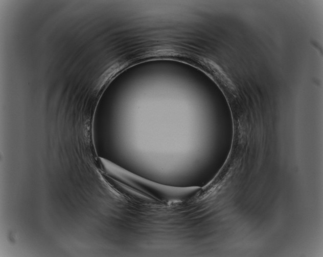 X0000096731225200802121306