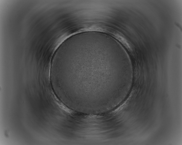 X0000096731228200802121306
