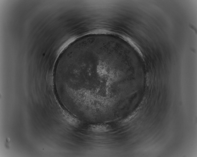 X0000096731229200802121306
