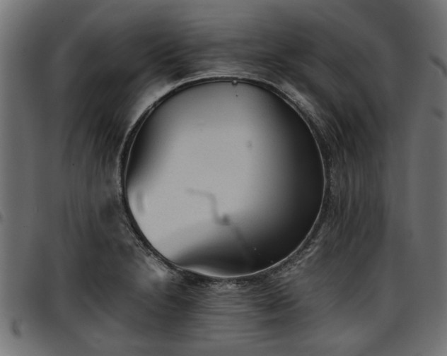 X0000096731230200802121306